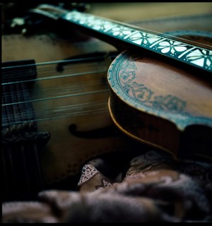 Närbild på en hardangerfela i trä som ligger mot en nyckelharpa. Felan är dekorerad med slingrigt växtmönster och halsen har beninfällningar. 