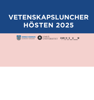 Bild med tre fält i färgerna blått, vitt och rosa. Texten i fälten är: "Vetenskapsluncher hösten 2025. Sorsele bibliotek, Vivid, varje torsdag kl. 12-13". Längst ner i bilden synst tre olika logotyper: Sorsele kommuns, Umeå universitets och Curiosums.