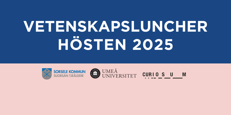 Bild med tre fält i färgerna blått, vitt och rosa. Texten i fälten är: "Vetenskapsluncher hösten 2025. Sorsele bibliotek, Vivid, varje torsdag kl. 12-13". Längst ner i bilden synst tre olika logotyper: Sorsele kommuns, Umeå universitets och Curiosums.