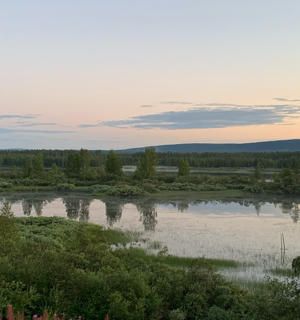 Fotografi av ett landskap med grönska, vatten och i fjärran berg. Det är skymningsljus över bilden och på himmelen syns några strimmor gråa moln. 