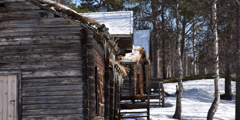 Stugor på Lapplatsen i Ammarnäs