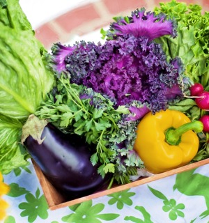 Färgglada grönsaker