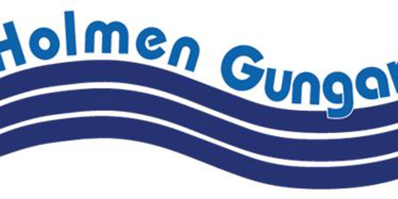 Holmen Gungar