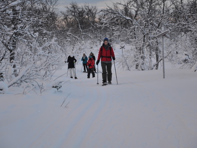 Snöskovandring i vinterlandskap