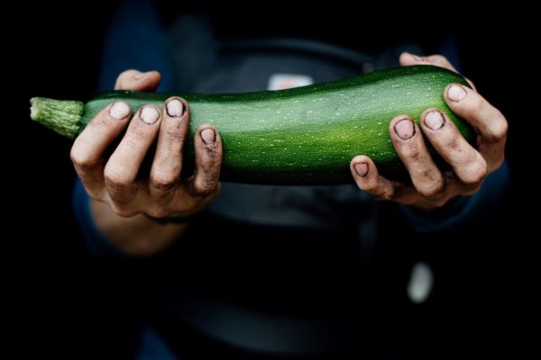 Bild på en grönsak