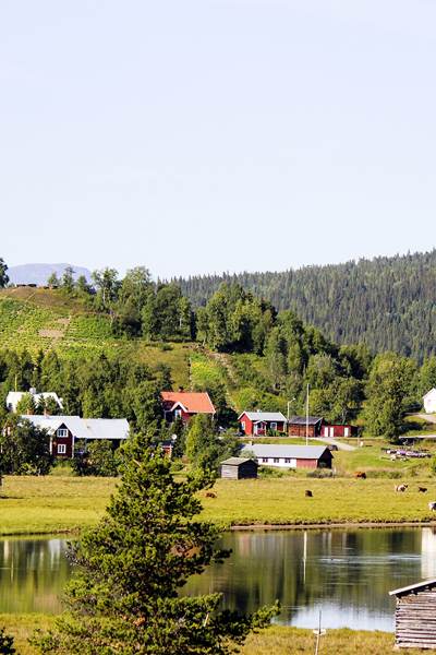 En by med röda hus, lador, betande kor, en odlad kulle och en vattenspegel.